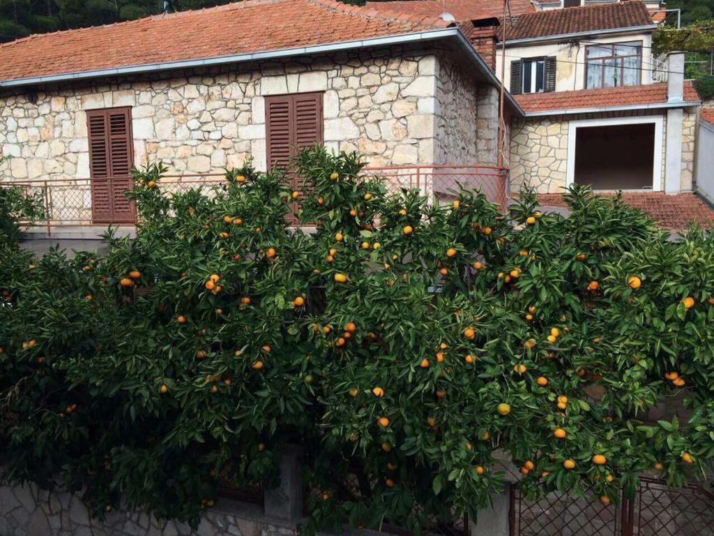 Holiday House With A Parking Space Svirce, Hvar - 17682 Vrbanj Zewnętrze zdjęcie